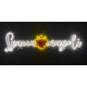 letras de neón neón personalizado