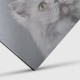 Dibond impreso aluminio cepillado