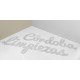 Letras PVC Impreso