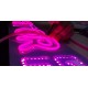 Neon led segunda generación
