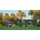 Carpa personalizada 4,5 x 3 metros