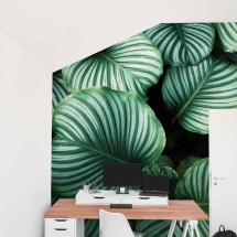 Vinilo Pared Selva Densa