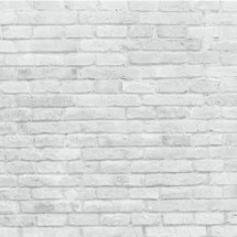 Fondo fotográfico ladrillo blanco