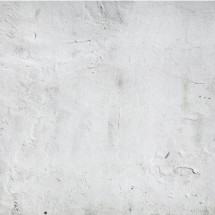 Fondo fotográfico pared vieja