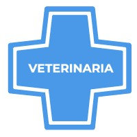 Opción 1