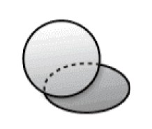 Circular / Ovalado